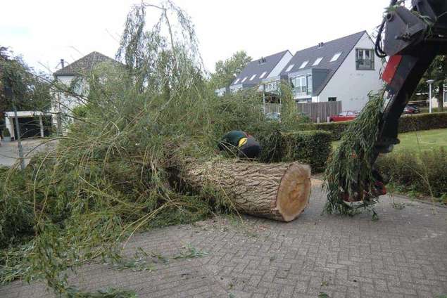 bomen snoeien op straat